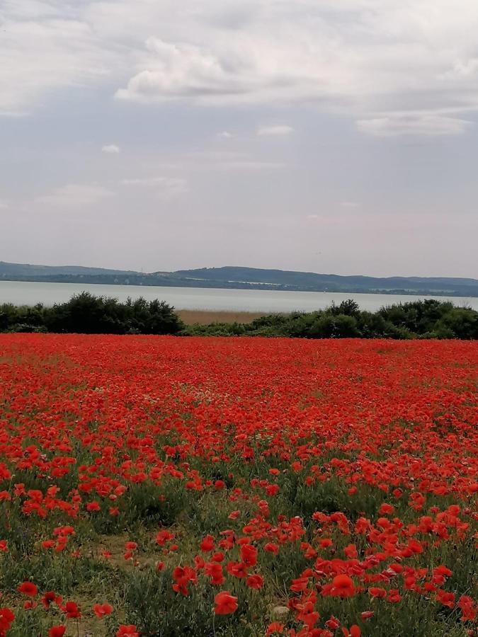 Aszofoi Panorama Apartmanhaz Bagian luar foto